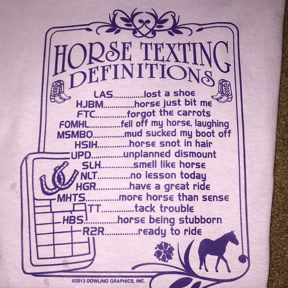 Lot of 3 girls teen Horse T-Shirts tee shirts CUTE - Picture 7 of 8